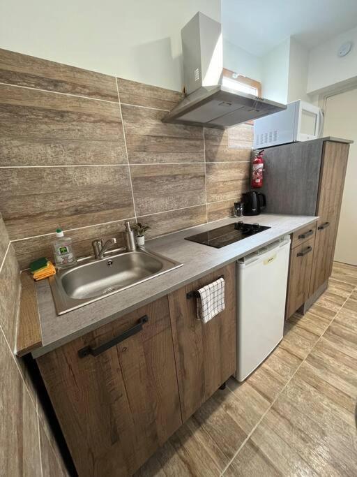 Superbe Appartement A 15 Min De Lyon Saint-Fons エクステリア 写真